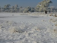 NL, Noord-Brabant, Alphen-Chaam, Strijbeekse Heide, Langven 3, Saxifraga-Jan van der Straaten