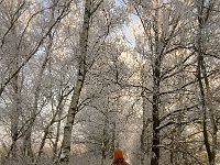 NL, Noord-Brabant, Cranendonck, Soerendonks Goor 22, Saxifraga-Jan van der Straaten