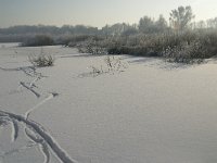 NL, Noord-Brabant, Cranendonck, Soerendonks Goor 24, Saxifraga-Jan van der Straaten