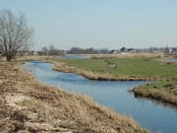 NL, Noord-Holland, Oostzaan, Polder Oostzaan 13, Saxifraga-Marijke Verhagen