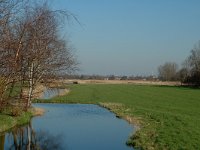 NL, Noord-Holland, Zaanstad, Polder Westzaan 8, Saxifraga-Marijke Verhagen