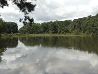 NL, Overijssel, Haaksbergen, Buurserzand, Buursermeertje 8, Saxifraga-Willem van Kruijsbergen