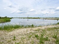 H, Hajdu-Bihar, Hortobagy, Hortobagy, Halasto 1, Saxifraga-Tom Heijnen