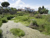 E, Caceres, Torrejon el Rubio 11, Saxifraga-Willem van Kruijsbergen