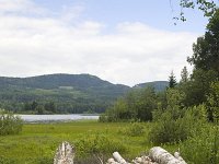 Hoop berkenstammen  Heap of birch trunks with lake and mountain in the background, Torsby, Värmland, Sweden : birch birches trunk, color, colour, Europe European, forest forestry, heap, lake, marsh wetland, mountain, nature natural, rural landscape, Scandinavia Scandinavian, summer, Sweden Swedish, tree, vertical, water, wood