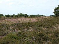 NL, Drenthe, Aa en Hunze, Drentsche Aa 120, Saxifraga-Hans Boll