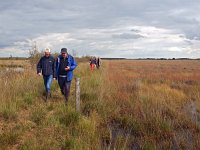 NL, Drenthe, Emmen, Bargerveen 34, Saxifraga-Hans Dekker