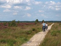 NL, Drenthe, Noordenveld, Fochteloerveen 23, Saxifraga-Hans Dekker