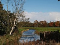 NL, Drenthe, Tynaarlo, Zuidlaren 3, Saxifraga-Hans Dekker