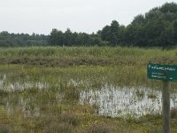 NL, Flevoland, Noordoostpolder, Kuinderbos, 1, Saxifraga-Willem van Kruijsbergen