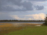 NL, Friesland, Dongeradeel, Ezumakeeg 10, Saxifraga-Hans Boll