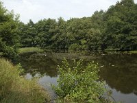 NL, Friesland, Gaasterland-Sloten, Wyldemerk 5, Saxifraga-Willem van Kruijsbergen