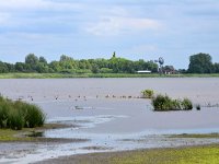 NL, Friesland, Tietjerksteradeel, Alde Feanen 2, Saxifraga-Tom Heijnen