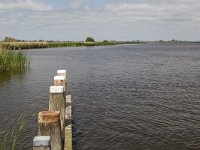 Typical landscape with lakes of Dutch province Friesland  Typical landscape with lakes of Dutch province Friesland : sky, skyscape, cloud, clouds, cloudscape, outside, outdoor, landscape, rural landscape, countryside, rural scene, non-urban scene, lake, water, land, Friesland, Frylan, Dutch, Holland, Netherlands, Europe, European, no people, nobody, summer, summertime, spring, springtime, room, recreation, reed, relaxation, farm, farmland, mooring poles, row, in a row, horizon, horizon over land, pole, poles