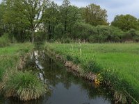 NL, Gelderland, Berg en Dal, De Bruuk 41, Saxifraga-Hans Boll