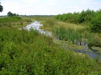 NL, Gelderland, Rheden, Laag Soerense Broek 1, Saxifraga-Henk Sierdsema