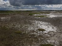 NL, Groningen, De Marne, De Rug 16, Saxifraga-Hans Boll