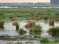 NL, Groningen, Groningen, Onnen, view from Onnerpolder gemaal 1, Saxifraga-Tom Heijnen