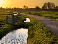 NL, Groningen, Haren, Zuidlaardermeergebied 4, Saxifraga-Rudmer Zwerver : Netherlands, Polder, Zuidlaardermeer, agrarisch, agrarische, agricultural, agriculture, bomen, boom, ditch, fence, gras, grass, green, groen, hek, hekwerk, holland, kronkel, kronkelweg, landbouw, landscape, landschap, natura 2000, nature, natuur, nederland, onnerpolder, oostpolder, orange, oranje, polderlandschap, polders, polderweg, railing, road, rudmer zwerver, ruraal, rural, slinger, slingerweg, sloot, sunlight, tree, trees, twisting, water, weg, winding, winding road, zonlicht, zuidlaardermeergebied