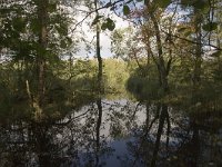 NL, Groningen, Hoogezand-Sappemeer, Westerbroek 11, Saxifraga-Jaap Schelvis : Westerbroek