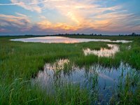 Sunset over wetland  Sunset over newly created dutch wetland : Netherlands, Noordenveld, achtergrond, afternoon, atmosphere, background, blauw, blue, calm, calmness, color, colorful, creative nature, dageraad, dawn, dramatic, dramatisch, dusk, dutch, ecologische hoofdstructuur, ehs, energetic, energiek, environment, freshwater, gras, grass, green, groen, groningen, holland, kalm, kalmte, kleur, kleurrijke, lake, landelijk, landscape, landschap, leekstermeer, lente, licht, light, lucht, marsh, marshland, matsloot, meer, milieu, moeras, moerassig, namiddag, natura 2000, natural, nature, nature development, natuur, natuur ontwikkeling, natuurbouw, natuurlijk, nederland, nederlands, niemand, nobody, onlanden, peace, peaceful, pink, plant, quiet, reed, reflect, reflecteren, reflectie, reflection, riet, roze, rudmer zwerver, rural, rustig, rustige, sandebuur, schemering, sereen, serene, sereniteit, serenity, sfeer, sky, spectaculaire, spectacular, spring, summer, sun, sunbeam, sunlight, sunray, sunrise, sunset, sunshine, swamp, swampy, tranquil, twilight, vegetatie, vegetation, vrede, water, wetland, zoet water, zomer, zon, zonlicht, zonneschijn, zonnestraal, zonsondergang, zonsopgang