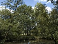 NL, Limburg, Roerdalen, Turfkoelen 7, Saxifraga-Marijke Verhagen