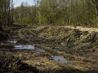 NL, Limburg, Weert, Leukerbeek 2, Saxifraga-Jan van der Straaten