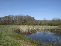 NL, Noord-Brabant, Alphen-Chaam, De Hoevens 32, Saxifraga-Willem van Kruijsbergen