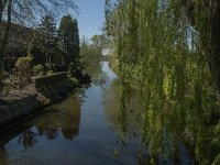 NL, Noord-Brabant, Altena, Alm 4, Saxifraga-Marijke Verhagen