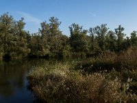 NL, Noord-Brabant, Altena, Doktershoek 9, Saxifraga-Jan van der Straaten