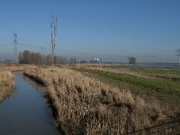 NL, Noord-Brabant, Altena, Galeigat 6, Saxifraga-Jan van der Straaten