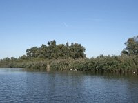 NL, Noord-Brabant, Altena, Gat van den Hardenhoek 21, Saxifraga-Willem van Kruijsbergen