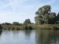 NL, Noord-Brabant, Altena, Gat van den Hardenhoek 34, Saxifraga-Willem van Kruijsbergen