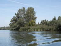 NL, Noord-Brabant, Altena, Gat van den Hardenhoek 50, Saxifraga-Willem van Kruijsbergen