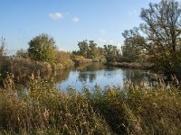 NL, Noord-Brabant, Altena, Gat van den Hardenhoek 55, Saxifraga-Jan van der Straaten