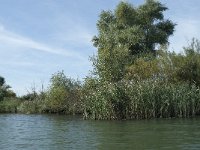 NL, Noord-Brabant, Altena, Gat van den Kleinen Hil 47, Saxifraga-Annemiek Bouwman