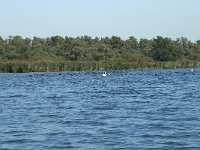 NL, Noord-Brabant, Altena, Gat van den Kleinen Hil 63, Saxifraga-Annemiek Bouwman