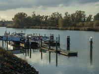 NL, Noord-Brabant, Altena, Gat van den Kleinen Hil 77, Saxifraga-Marijke Verhagen