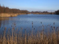 Natuurontwikkeling Biesbosch Jantjesplaat