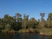 NL, Noord-Brabant, Altena, Keizersdijk 4, Saxifraga-Jan van der Straaten