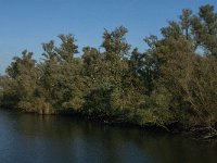 NL, Noord-Brabant, Altena, Keizersdijk 8, Saxifraga-Jan van der Straaten