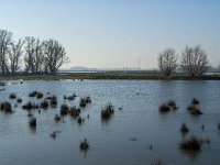 NL, Noord-Brabant, Altena, Kleine Muggenwaard 1, Saxifraga-Jan van der Straaten