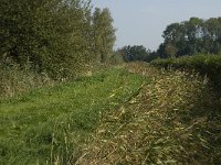 NL, Noord-Brabant, Altena, Kornsche Boezem 4, Saxifraga-Jan van der Straaten