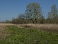 NL, Noord-Brabant, Altena, Kornsche Boezem 6, Saxifraga-Marijke Verhagen