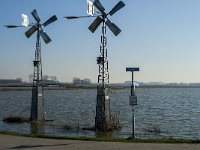 NL, Noord-Brabant, Altena, Polder Eijerwaard 1, Saxifraga-Jan van der Straaten