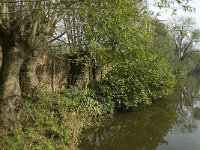 NL, Noord-Brabant, Altena, Pompveld 8, Saxifraga-Jan van der Straaten