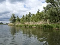 NL, Noord-Brabant, Altena, Ruigt 5, Saxifraga-Willem van Kruijsbergen