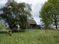 NL, Noord-Brabant, Altena, Ruwenhennip 31, Saxifraga-Willem van Kruijsbergen