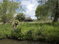 NL, Noord-Brabant, Altena, Ruwenhennip 35, Saxifraga-Willem van Kruijsbergen