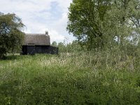 NL, Noord-Brabant, Altena, Ruwenhennip 38, Saxifraga-Willem van Kruijsbergen